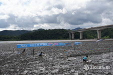 [포토]전통 뻘배, 갯벌 레저로 재탄생…보성벌교갯벌이 들썩였다