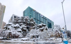 금천구, 중앙철재종합상가 시장정비사업 승인 신청