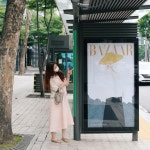 집 나간 바자, 여기 있었네! #집나간바자를찾습니다