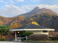 강아지와 함께 #산멍 하기 좋은 스테이