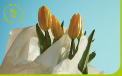 바자 구성원들이 실천하고 있는 친환경 습관은?