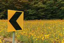 회색 빛 도시를 떠나 강원도의 산골 속으로