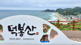 믿고 가는 반려동물 동반 스테이 4