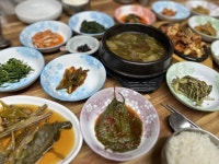 지금 딱 좋은 마지막 여름 계곡