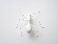 캘박필수! 11월에 꼭 봐야할 전시