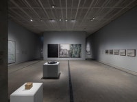 올해의 작가상과 리움미술관이 픽한 작가, 갈라포러스김의 세계