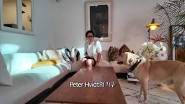 요정재형으로 본 정재형 인테리어 취향, 오래 머물고 싶은 집