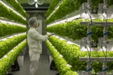 전문가 50인이 말하는 올해 소셜섹터 전망은?