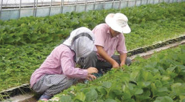 은퇴없는 세상, 준비 여하에 따라 달라지는 인생 2막