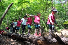 삼육대 부속유치원, 서울시 유일 개정 누리과정 시범유치원 선정