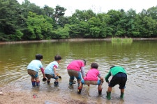 삼육대 부속유치원, 서울시 유일 개정 누리과정 시범유치원 선정