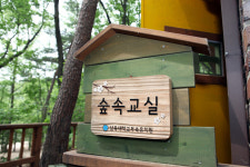 삼육대 부속유치원, 서울시 유일 개정 누리과정 시범유치원 선정