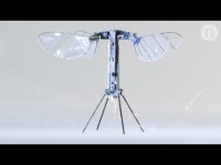 꿀벌을 모방한 로봇곤충, 로보비 엑스윙(Robobee X-Wing)