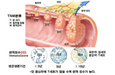 [암 극복] 암이 재발하는 이유