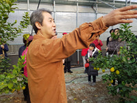 [인터뷰] 레몬 농부 채요한, 자연 속에서 되찾은 삶과 치유