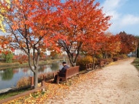 2021년 경기정원문화박람회 개최지, 구리장자호수생태공원 최종 선정