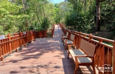 부산시, 이기대예술공원 ‘무장애 산책길’ 개방