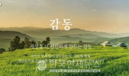 미라클에프엔비(MIRACLE F&B) | 흥국에프엔비, 2019년 매출액 약 538억 원… 전년比 12.8% 증가