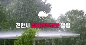 [속보] 천안시청, 성정지하차도 집중호우로 통제