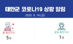 태안군청, 5번 확진자 발생 - 태안읍 30대 여성- 2번 접촉 감염 - 55명 접촉 파악 등  [코로나19] 