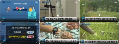 한타바이러스까지 출현... 철원 육군 6사단 병사 1명 의심증세로 사망 