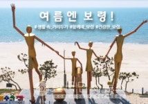 보령시청, #14~#17 확진자 발생과 동선 알려 등 [코로나19,17일]