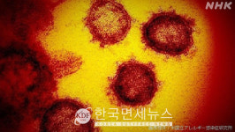 계명대 연구팀, 코로나19 합병증 폐 이외 심장도 위험...환자 10명 중 6명 심장손상돼