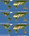 [호기심일상] 북방 참치? 대서양 참치? 가두리 참치? 마트는 다 계획이 있었구나 ...