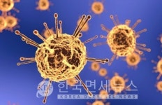 집단감염 7일~12일...서초구 카톨릭성모병원- 종로구 음식점·노래교실- 강서구 성석교회- 동대문구 지혜병원- 용산구 홀덤펍 집단·연쇄감염... 