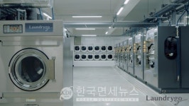 런드리고, 한파로 물빨래 서비스 2.5배 증가...주말 주문만 6톤
