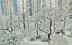 (속보) 성남시, 폭설로 관내 일부 버스 우회 및 단축 운행 中...3-5, 6, 9, 10, 10-1, 10-2, 7, 7-2, 누리2, 누리3, 32, 33-1, 77, 333번 버스