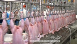 [必검진] 충주시, 닭가공업체 및 유통관련 外...CS코리아·청솔리드팜·나눔물류·상록운수 등 종사자·방문자 [코로나19, 27일]