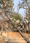 신규 346명, 국내 335명-경기 128명, 서울 97명 등 [코로나19, 8일] AZ 접종 누적 31만1583명, 화이자 5282명 