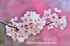 [속보] 대전 종교모임 관련 8명-진주시 진주목욕탕 관련 포함 5명·창원시 3명·양산 2명 등 경남도 14명 확진 [코로나19, 3일]