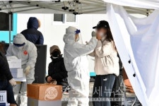 必검진 광주 축산물 13명 발생, 영암 축협 경매장 등-대구 V club-영동군 X스크린골프 역말주유소 등 [코로나19, 25일]