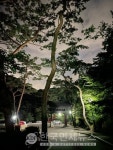 동송 오천, PC방 코로나-구니CC-서문시장 동산상가-서초 나무당구←必검진→나이키수송점-성불계곡-군산 뉴문화온천 등 [코로나19, 28일]