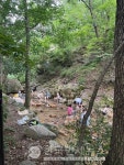 동작 청와대노래방-안산 OOO-수원 천리향-근흥 민원실 ←必검진←양산 목장원-김제병원-스타벅스 김해금관 등 [코로나19, 31일]