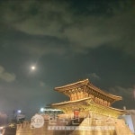 부산 통닭-서초 무지개-의왕 도깨비←必검진→창원사우나女-압해 하나로-순천 겨비 등 [코로나19, 22일]
