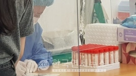 [속보] 26일 오후 6시 기준 국내 1680명 발생, 전일 대비 300명↓... 경기 510, 서울 471, 인천 126명 등 [코로나19, 26일]