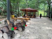 16일 밤 이례적 한파 몰려와 제주 동명女-거제 성호탕男 必검진 대구 FOX 등-금산 정형 등 [코로나19, 16일] 