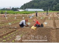 서울시, 친환경농사 시민 선착순 접수...건강한 먹거리 직접 재배
