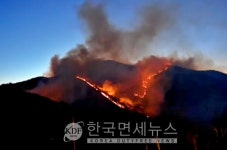 [속보] 경북 영덕 산불 대응 3단계 발령 소방력 총동원...화수1·2리 주민 300여명 대피령