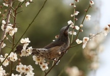 [인사] 투데이신문, 이영민 편집인 임명  