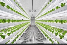 이마트, 스마트팜 채소 확대한다...폭염·장마·한파에도 공급·신선도 이상無