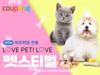 애기야, 봄꽃 구경가자~ 쿠팡, 펫스티벌 오픈...최대 70% 할인