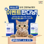 일동후디스, 세계 고양이의 날 기념 후디스펫 인스타그램 이벤트