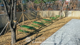 키엘, 공원 내 녹지 조성과 시민 쉼터 마련 기부금 생명의 숲에 전달