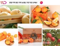 11번가, 도매시장 직매입 농산물 슈팅배송