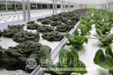 롯데정보통신, 스마트팜 플랫폼 도시의 푸른농장 론칭