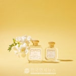 산타마리아노벨라X서울옥션, 인기향수 프리지아 테마의 아트 프로젝트 진행
